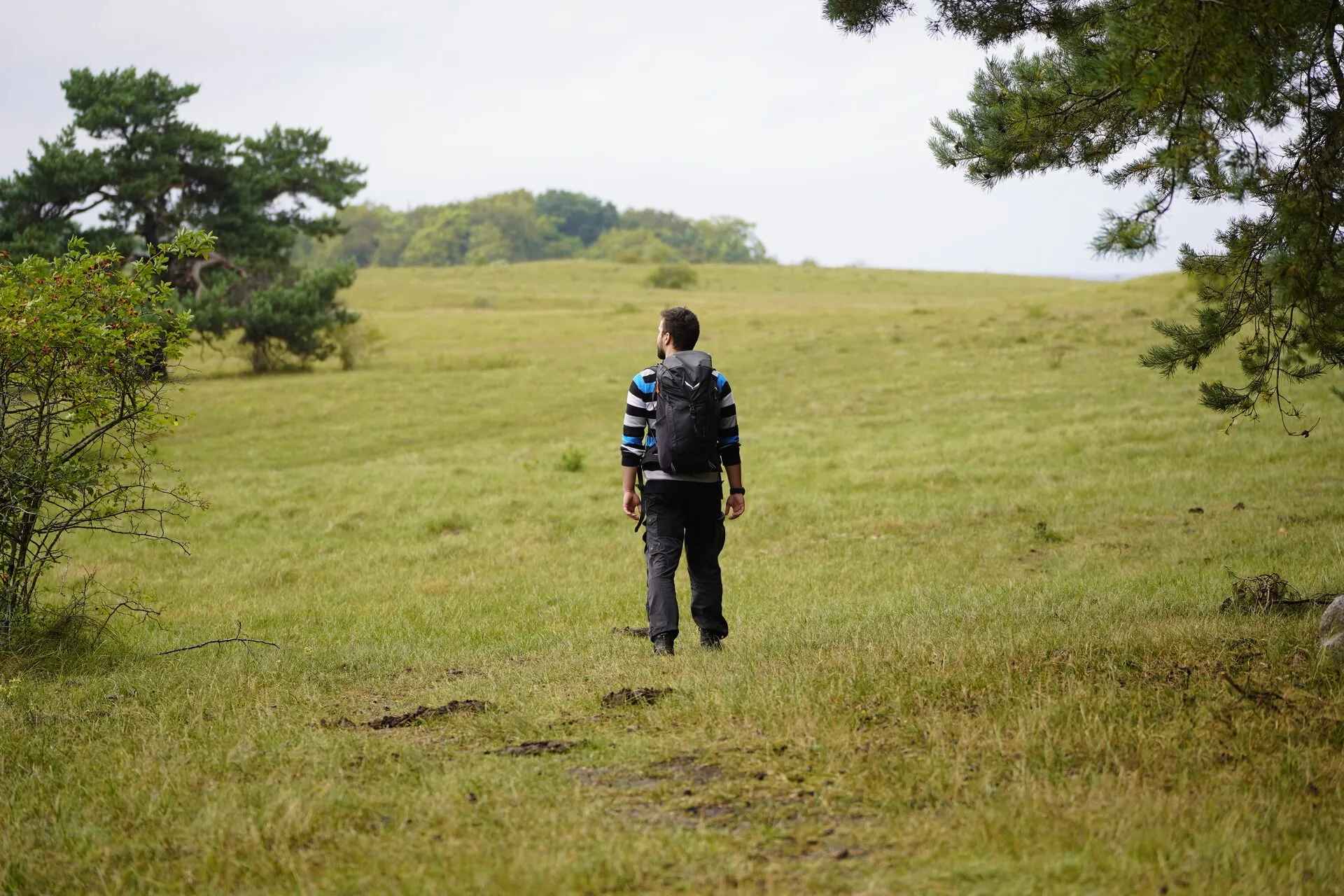 Titelbild: Into the Wild