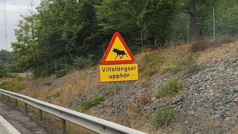 Titelbild: Das S in UNESCO steht für Scam