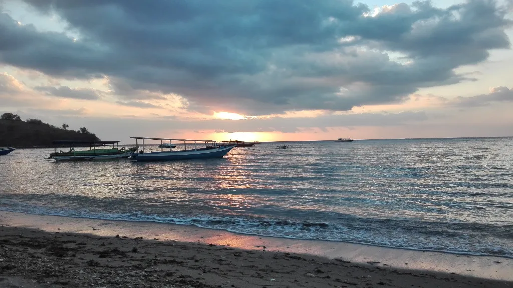 Titelbild: Affentheater